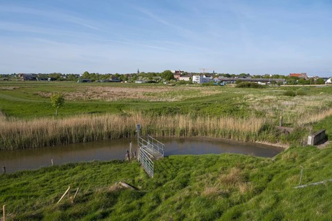 Siel in den Wiesen, Dockkoog, Husum, North Frisia, Schleswig-Holstein, Germany