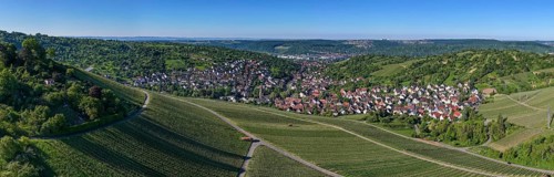 Wide angle panorama with a village surrounded by vineyards and lush hills, Uhlbach, near Stuttgart,
