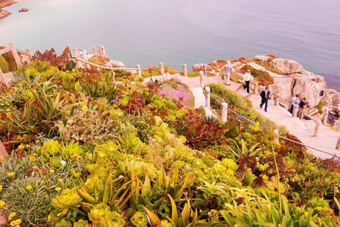 Minack Theatre, spectacular open-air theatre, circular path with lush planting, South England,