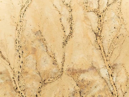 Arid desert plain and dried-up river beds with sparse vegetation. Aerial view. Drone shot. Gondwana
