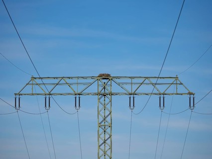 An osprey nest on a power pole, Mecklenburg-Western Pomerania, Müritz region, Germany