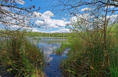 The Bullensee is located in a moorland area and is part of the Bullensee and Hemelsmoor nature