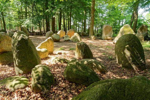 Erratic blocks in the Neuenknick erratic block forest in the Teutoburg Forest. Around 2000 of the
