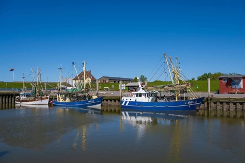 Fishing boats in the harbour of Tammensiel, Pellworm Island, North Frisia, North Sea, North Frisia,
