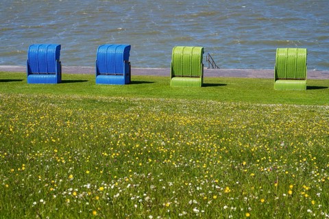 Beach chairs on a blooming meadow on the North Sea coast, Grünstrand, Pellworm Island, North Sea,