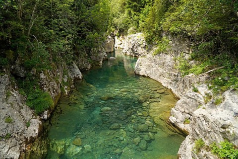 The River Ara in the Bujaruelo Valley or Valle de Bujaruelo near Torla-Ordesa, Spain