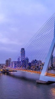 Panoramic view of Erasmus Erasmusbrug bridge in Rotterdam . Financial business district skyline