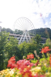 Colourful flowers in front of a large Ferris wheel in a green landscape, Ferris wheel construction