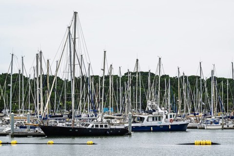 Marina in Le Verdon-sur-Mer, Nouvelle-Aquitaine, Gironde, France