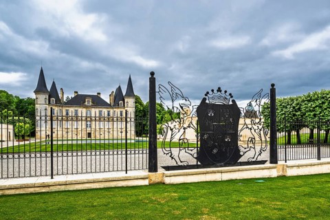 Vineyard of Chateau Pichon Longueville Baron Vineyard and grape fields around Pauillac, Bordeaux,