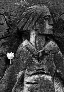 Bittermark memorial, memorial site, detail with tulip for the memorial service on Good Friday,