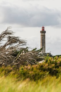 WHALE LIGHTHOUSE, Saint-Clement-des-Baleines, Atlantic, France