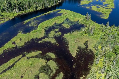 Lake and islands with vegetation, Boreal forest, Mastigouche wildlife reserve, Region of La