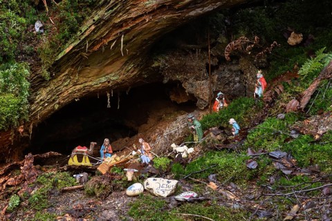Mysterious cot, Christmas cot in natural surroundings, hidden in the forest, artists have built the