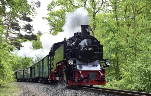 The Raging Roland, narrow-gauge railway, on Rügen, Mecklenburg-Vorpommern, Germany