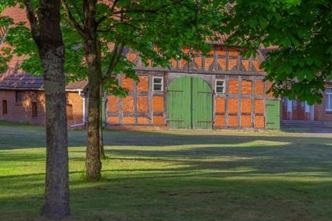 View through a chestnut tree onto a farm, Böhme, Heidekreis, Rethem Aller, Leine Aller Tal, Lower