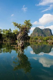 Lagoon, Klong Rud, Klong Nam Sai, Ao Nang, Krabi, Thailand