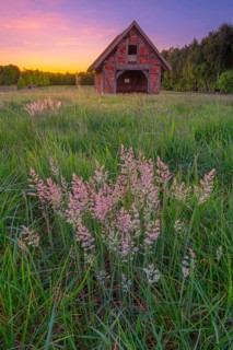 View of grasses and an open half-timbered barn standing on a pasture in the sunset, meadow, spring,