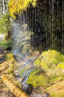 Dietfurt Waterfall, a moss waterfall in the Wutach Gorge, Black Forest, Baden-Württemberg, Germany