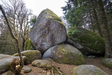 Granite rock Günterfelsen near the source of the Danube, Furtwangen in the Black Forest,