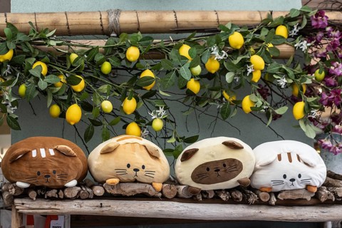 Cat cushion, arts and crafts, Veneto, Italy