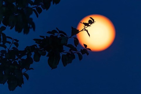 Full moon, (super moon) Münsterland, North Rhine-Westphalia