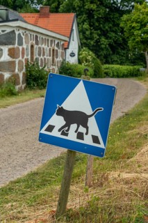 Traffic sign showing a cat crossing on a country road near Ystad, Skåne County, Sweden, Scandinavia