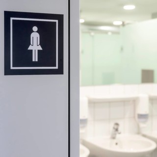 Symbolic photo woman's toilet