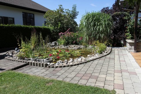 Garden pond in midsummer, Allgäu, Bavaria, Germany, Allgäu, Bavaria, Germany