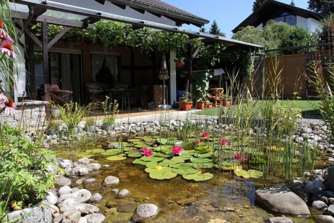 Garden pond with house terrace in midsummer, Allgäu, Bavaria, Germany, Allgäu, Bavaria, Germany