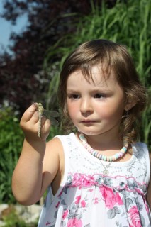 Girl, toddler looking at freshly hatched Southern Hawker (Aeshna cyanea) dragonfly on her finger at