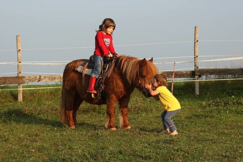 Girl, toddler gives Shetland pony a kiss, older sister sits on the pony and watches her, Allgäu,