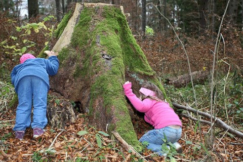 Girls discovering nature, children in nature, love of nature, Allgäu, Bavaria, Germany, Allgäu,