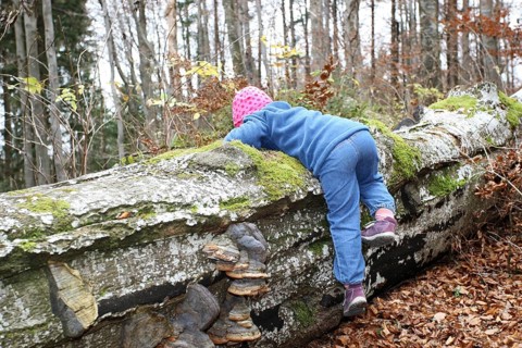 Girl discovers nature, Child in nature, Love of nature, Allgäu, Bavaria, Germany, Allgäu, Bavaria,
