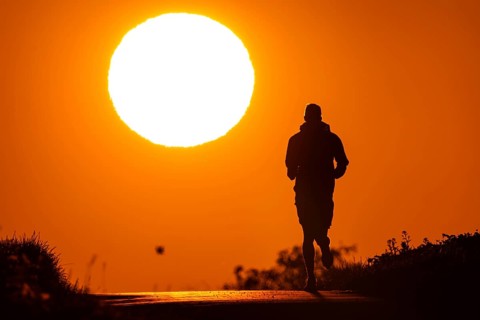 A jogger runs at sunrise on a country lane near Frankfurt am Main, Frankfurt am Main, Hesse,