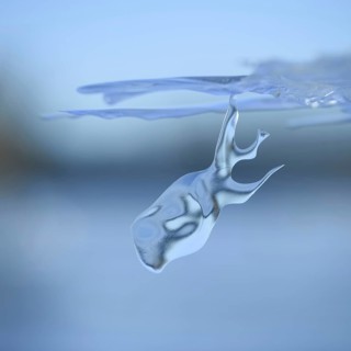 On a dive on the Lower Rhine... Whale (winter flood 2020, 2021), naturally grown ice sculpture