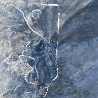 The mask... Ice sculptures (winter flood Lower Rhine 2020, 2021), art in nature, ice plate formed