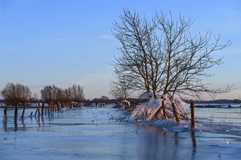 Landfall, ice age on Bislicher Insel... Winter mood (Lower Rhine), after the flood came severe