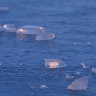 Blue ice... Ice sheets (high water on the Lower Rhine), ice sheets on an ice surface in the early