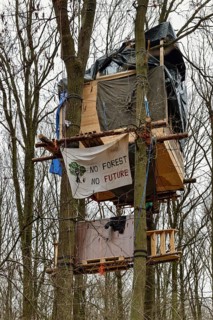 Standing up for the preservation of the forest... Tree house in Hambach Forest, environmental
