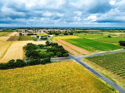 Fields and Grape plantations from a drone, Saint-Clement-des-Baleines, Atlantic, France