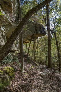Rock outcropping along hiking trail in Tishomingo State Park in northeast Mississippi