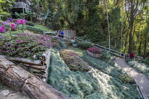 Mae Fah Luang Gardens within the Doi Tung tourist attraction in Chiang Rai, Thailand
