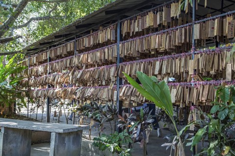 Plaques with messages from prrevious customers hang at entrance to the Akha Cottage restaurant and