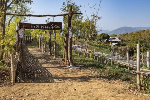 Walkway at the Akha Cottage coffee shop and restaurant in Chiang Rai Thiland asks What is your mood