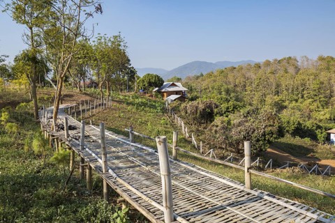 Raised bamboo walkway bridge in disrepair leads to farmhouse on a hillside near the Akha Cottage
