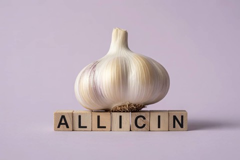 Garlic bulb with wooden blocks spelling ALLICIN. Minimalist studio composition highlighting natural