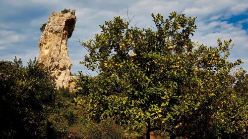 Large rock towering over a flowering tree in a natural setting under a cloudy sky, Neapolis
