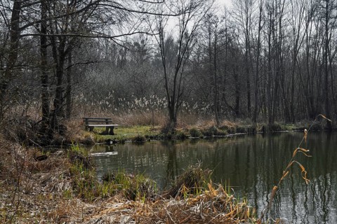 Former anti-tank ditch from the 2nd World War, Westwall, Steinfeld, Southern Palatinate,