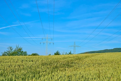 Wide wheat field under blue sky, crossed by power lines, summer, Germerode, Geo nature park Park